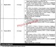 Jobs in University of Sargodha