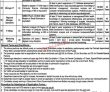 Jobs in Government of the Punjab Primary & Secondary Healthcare