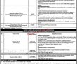 Jobs in University of Sargodha