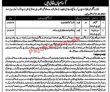 Jobs in Senior Civil Judge Chiniot