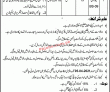 Jobs in Revenue Department