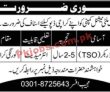 Jobs in Multinational Company
