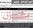 Jobs in MicroMerger Pvt Ltd