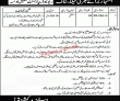 Jobs in Revenue Department