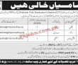 Jobs in CHIP Training & Consulting Private Limited