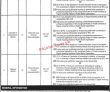 Jobs in The Rawalpindi Women University