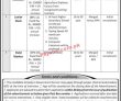 Jobs in Public Sector Organization