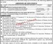 Jobs in University of the Punjab Lahore