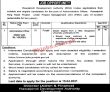 Jobs in Rawalpindi Development Authority