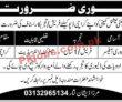 Jobs in Multinational Company