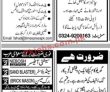 Jobs in Jang Newspaper Jobs 04 April