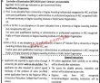 Jobs in University of Education Lahore