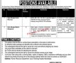 Jobs in Medical Teaching Institution Ayub Teaching Hospital Abbottabad