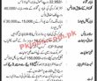 Jobs in National Logistic Cell NLC