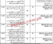Federal Public Sector Organization Management PK Jobs 2021