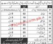Jobs in Housing Society Islamabad