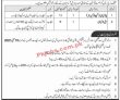 Jobs in Government Sector