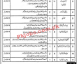 Social Welfare & Bait ul Maal Department PK Jobs 2021