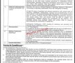 Jobs in Khyber Medical College Peshawar