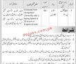 Jobs in Agriculture Department
