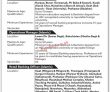 Jobs in The Bank of Khyber