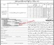 Jobs in Government of Sindh School Education & Literacy Department