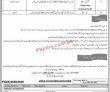 Jobs In Public Sector Organization