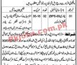 Deputy Commissioner District Office Management Pk Jobs 2021
