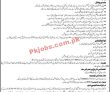 Hesco Electric Power Supply Company Management Pk Jobs 2021