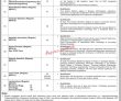 Jobs In University Of Engineering And Technology Mardan