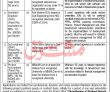 Jobs In Shaheed Benazir Bhutto Women University Peshawar