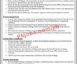 Stza Pk Jobs 2021 | Jobs In Stza | Special