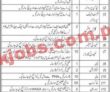 Private Pk Jobs 2021 | All Private Jobs Advertised On