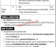 Jobs In Gujranwala Electric Power Company