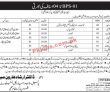 Jobs In Paramedical Institute Tharparkar