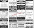Jobs In Jang Newspaper Jobs 05 September