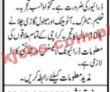Jobs In Jang Jobs 13 September