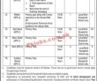 Jobs In Government Organization