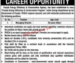 Peeca Pk Jobs 2021 | Energy Efficiency & Conservation Agency