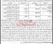 Jobs In Population Welfare Department