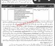 Jobs In Peshawar High Court