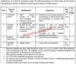 Planning Commission Pk Jobs 2021 | Ministry Of Planning Development