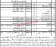 Bise Pk Jobs 2021 | Board Of Intermediate & Secondary