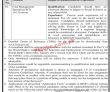 Bisp Pk Jobs 2021 | Benazir Income Support Programme Bisp