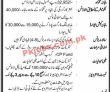 Jobs In National Logistic Cell Nlc