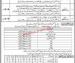 Jobs In Elementary & Secondary Education Malakand