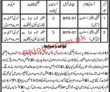 Jobs In Population Welfare Department