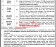 Jobs In Center Of Aviation Bacha Khan Airport