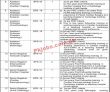 Jobs In The Sheikh Mohammad Bin Zayed Al Nahyan (smbzan) Institute