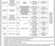 Jobs In Nadra